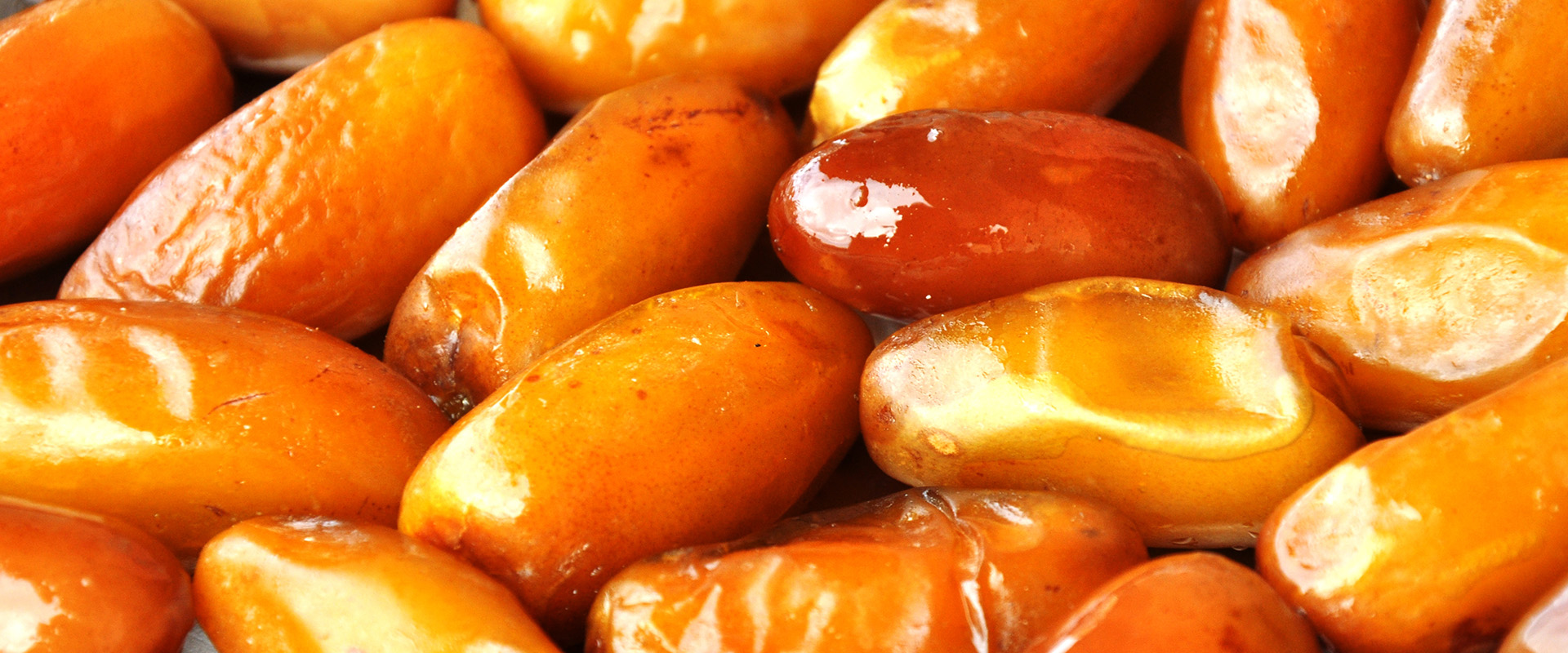 Agroalimentaires-fruits-legumes-tunisie : Victory Lubricants