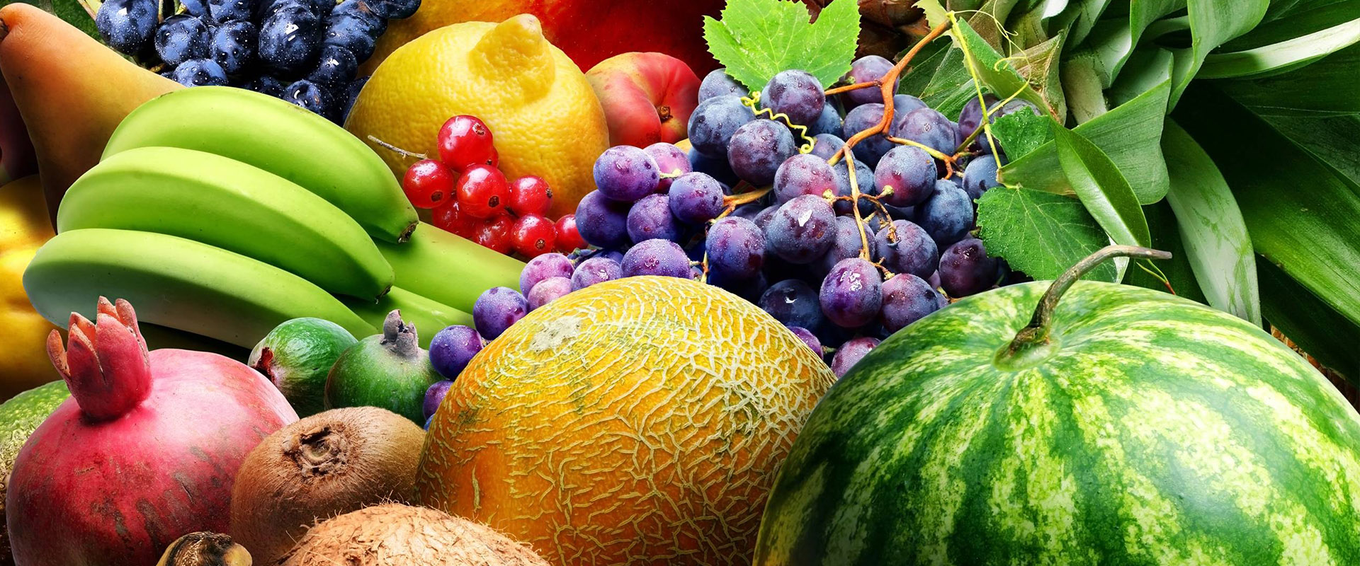Agroalimentaires-fruits-legumes-tunisie : Victory Lubricants